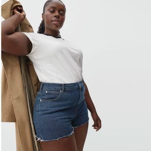 Everlane Way-High Jean Shorts 32